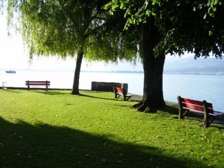 am See.jpg